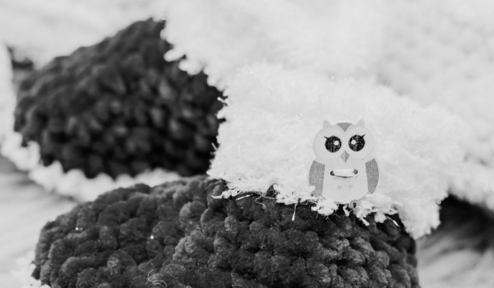 Zobraziť fotografiu