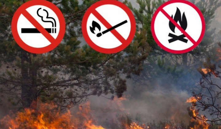 Fotka - Ochrana lesov pred požiarmi