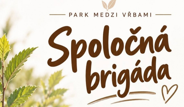 Fotka - Pozvánka na spoločnú brigádu v Parku medzi vŕbami